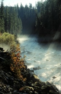 Oregon river, with god rays.